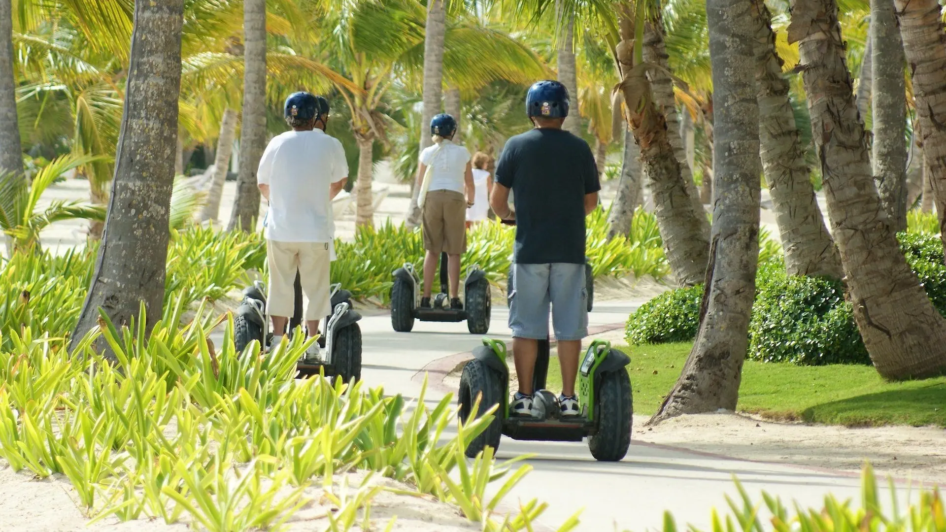 Resort Hotel Tortuga Bay Punta Cana