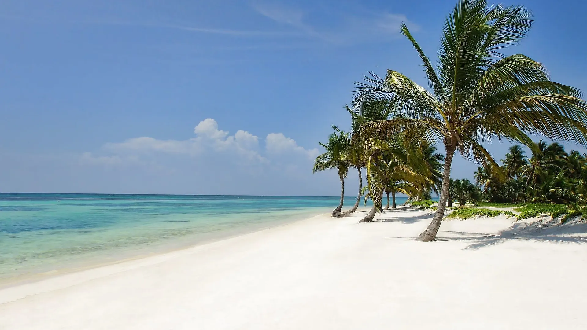 Hotel Tortuga Bay Punta Cana Resort